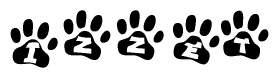 The image shows a row of animal paw prints, each containing a letter. The letters spell out the word Izzet within the paw prints.