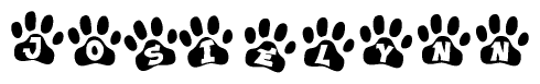 The image shows a series of animal paw prints arranged in a horizontal line. Each paw print contains a letter, and together they spell out the word Josielynn.
