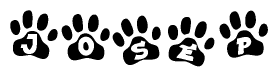 The image shows a series of animal paw prints arranged horizontally. Within each paw print, there's a letter; together they spell Josep