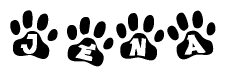 The image shows a series of animal paw prints arranged in a horizontal line. Each paw print contains a letter, and together they spell out the word Jena.