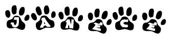 The image shows a series of animal paw prints arranged horizontally. Within each paw print, there's a letter; together they spell Janece