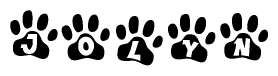 The image shows a series of animal paw prints arranged in a horizontal line. Each paw print contains a letter, and together they spell out the word Jolyn.