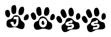 The image shows a row of animal paw prints, each containing a letter. The letters spell out the word Joss within the paw prints.