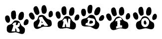 The image shows a series of animal paw prints arranged in a horizontal line. Each paw print contains a letter, and together they spell out the word Kandio.