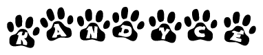 The image shows a series of animal paw prints arranged in a horizontal line. Each paw print contains a letter, and together they spell out the word Kandyce.