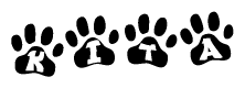 The image shows a series of animal paw prints arranged horizontally. Within each paw print, there's a letter; together they spell Kita