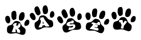The image shows a series of animal paw prints arranged in a horizontal line. Each paw print contains a letter, and together they spell out the word Kasey.