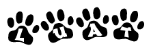 Animal Paw Prints with Luat Lettering