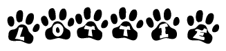 The image shows a series of animal paw prints arranged horizontally. Within each paw print, there's a letter; together they spell Lottie