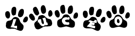 The image shows a series of animal paw prints arranged horizontally. Within each paw print, there's a letter; together they spell Luceo