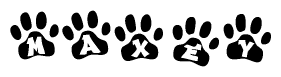 The image shows a series of animal paw prints arranged horizontally. Within each paw print, there's a letter; together they spell Maxey