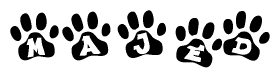 The image shows a series of animal paw prints arranged in a horizontal line. Each paw print contains a letter, and together they spell out the word Majed.