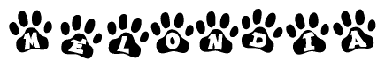 The image shows a row of animal paw prints, each containing a letter. The letters spell out the word Melondia within the paw prints.