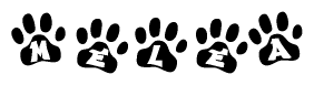 The image shows a series of animal paw prints arranged horizontally. Within each paw print, there's a letter; together they spell Melea