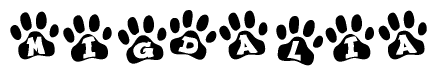 The image shows a series of animal paw prints arranged in a horizontal line. Each paw print contains a letter, and together they spell out the word Migdalia.