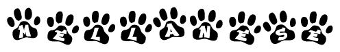 The image shows a series of animal paw prints arranged horizontally. Within each paw print, there's a letter; together they spell Mellanese