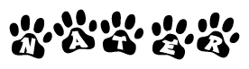 The image shows a series of animal paw prints arranged horizontally. Within each paw print, there's a letter; together they spell Nater