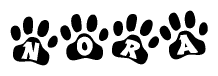 The image shows a series of animal paw prints arranged in a horizontal line. Each paw print contains a letter, and together they spell out the word Nora.