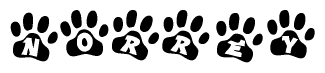 The image shows a series of animal paw prints arranged horizontally. Within each paw print, there's a letter; together they spell Norrey