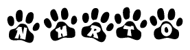 The image shows a series of animal paw prints arranged in a horizontal line. Each paw print contains a letter, and together they spell out the word Nhrto.