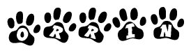 The image shows a series of animal paw prints arranged horizontally. Within each paw print, there's a letter; together they spell Orrin