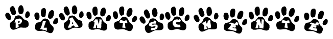 The image shows a series of animal paw prints arranged in a horizontal line. Each paw print contains a letter, and together they spell out the word Plantschente.