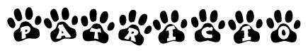 The image shows a series of animal paw prints arranged horizontally. Within each paw print, there's a letter; together they spell Patricio