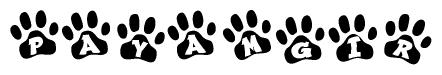The image shows a series of animal paw prints arranged horizontally. Within each paw print, there's a letter; together they spell Payamgir