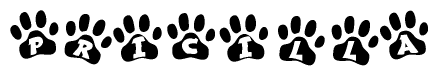 The image shows a series of animal paw prints arranged in a horizontal line. Each paw print contains a letter, and together they spell out the word Pricilla.