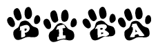 The image shows a row of animal paw prints, each containing a letter. The letters spell out the word Piba within the paw prints.