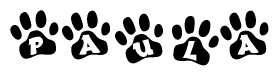 The image shows a series of animal paw prints arranged horizontally. Within each paw print, there's a letter; together they spell Paula