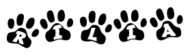The image shows a series of animal paw prints arranged in a horizontal line. Each paw print contains a letter, and together they spell out the word Rilia.