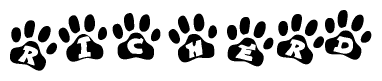 The image shows a series of animal paw prints arranged in a horizontal line. Each paw print contains a letter, and together they spell out the word Richerd.