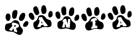 The image shows a series of animal paw prints arranged in a horizontal line. Each paw print contains a letter, and together they spell out the word Rania.