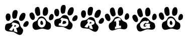 The image shows a series of animal paw prints arranged horizontally. Within each paw print, there's a letter; together they spell Rodrigo