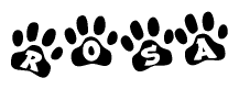 The image shows a row of animal paw prints, each containing a letter. The letters spell out the word Rosa within the paw prints.
