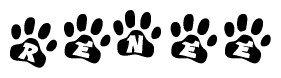 The image shows a series of animal paw prints arranged horizontally. Within each paw print, there's a letter; together they spell Renee