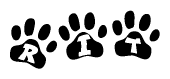 The image shows a series of animal paw prints arranged horizontally. Within each paw print, there's a letter; together they spell Rit