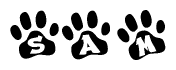 Animal Paw Prints Spelling Sam