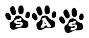 The image shows a row of animal paw prints, each containing a letter. The letters spell out the word Sas within the paw prints.