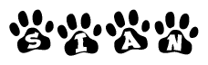 The image shows a series of animal paw prints arranged horizontally. Within each paw print, there's a letter; together they spell Sian