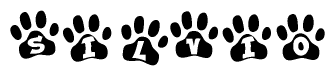 The image shows a series of animal paw prints arranged horizontally. Within each paw print, there's a letter; together they spell Silvio