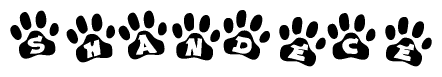 The image shows a series of animal paw prints arranged horizontally. Within each paw print, there's a letter; together they spell Shandece