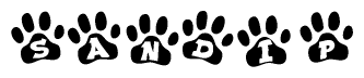 The image shows a row of animal paw prints, each containing a letter. The letters spell out the word Sandip within the paw prints.