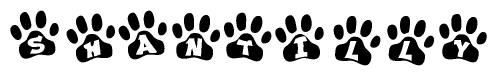 The image shows a row of animal paw prints, each containing a letter. The letters spell out the word Shantilly within the paw prints.