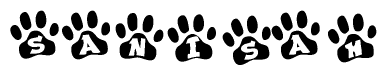 The image shows a series of animal paw prints arranged in a horizontal line. Each paw print contains a letter, and together they spell out the word Sanisah.
