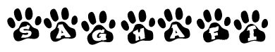 The image shows a series of animal paw prints arranged horizontally. Within each paw print, there's a letter; together they spell Saghafi