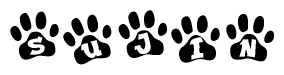 Animal Paw Prints with Sujin Lettering