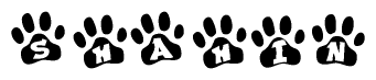 The image shows a row of animal paw prints, each containing a letter. The letters spell out the word Shahin within the paw prints.
