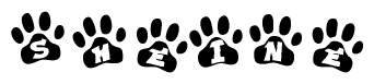 Animal Paw Prints with Sheine Lettering